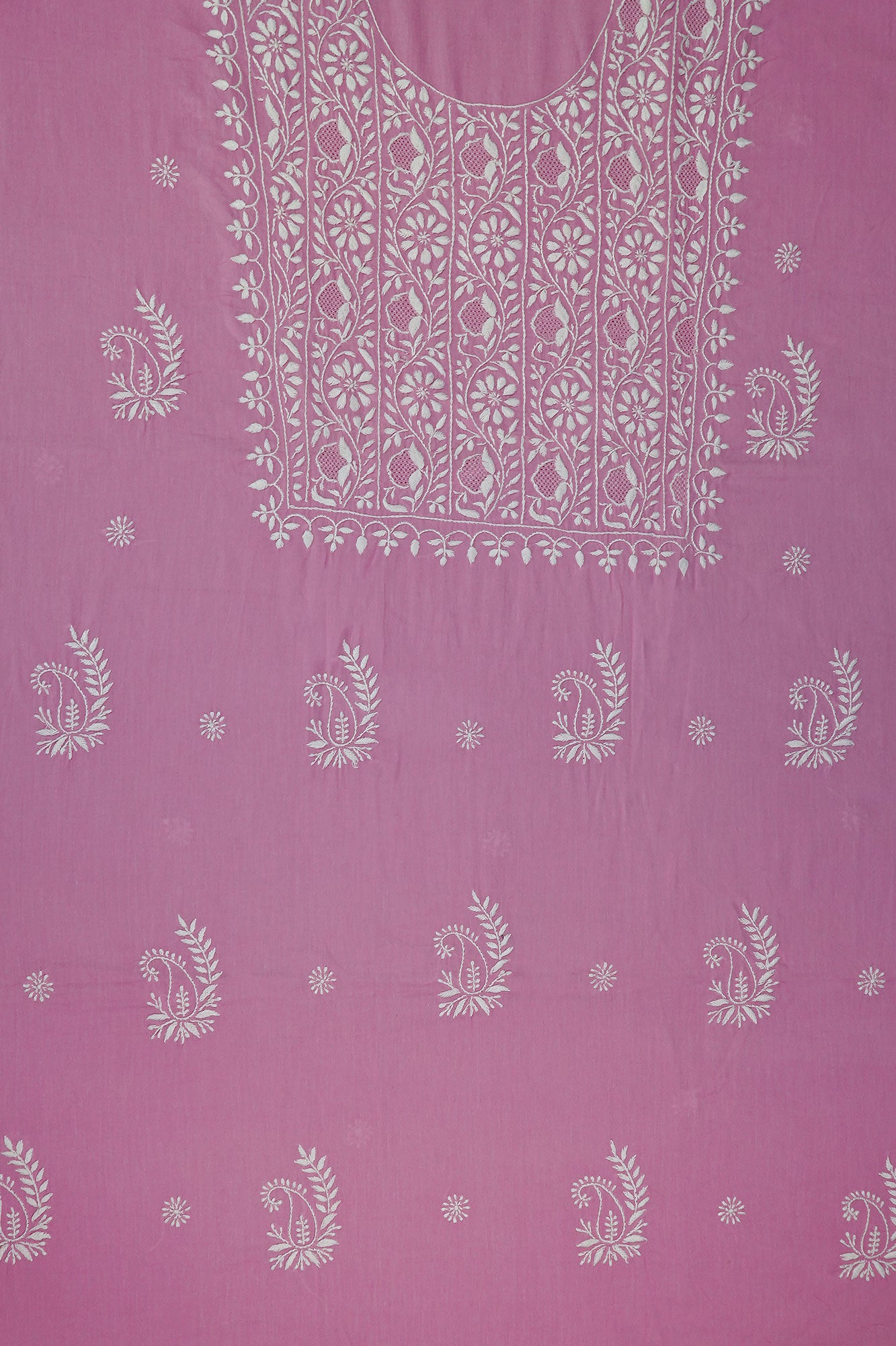 Rani baag
